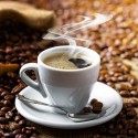 Image of Bio káva – Kávové plantáže nesmú byť chemicky ošetrované
