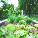Image of Rozvíjanie krásy a udržateľnosti vašej záhrady: Význam a tipy pre terénne úpravy - Magazín bývanie | Magazín o bývaní, záhrade, stavbe a rekonštrukcii